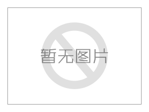 生物质锅炉前景无限 必将引导市场